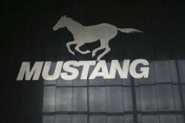 Mustang Cars