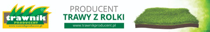 Trawnik z rolki Ogrodowo Sportowy/ Producent/ Prosto z plantacji