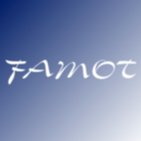 FAMOT inż. Tomasz Fabijański