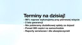 Ogólnopolska Grupa Serwisowa