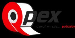 Roman logo