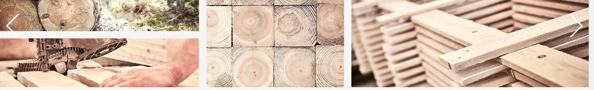 Marcin Zając - kierownik