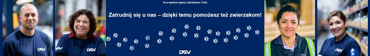 DSV
