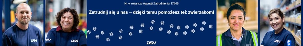DSV