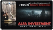 ALFA INVESTMENT