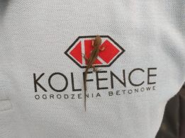 KOLFENCE