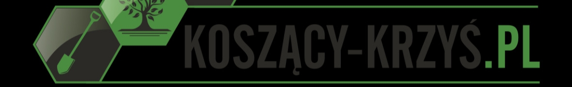 Krzysztof