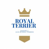 Royal Terrier FCI