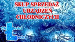 Chłodzi w Łodzi