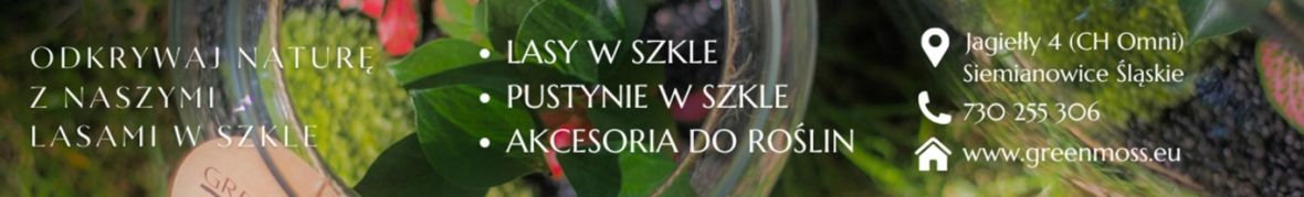 Green Moss Design LASY W SZKLE