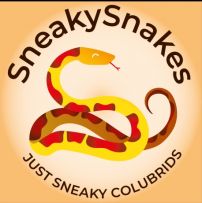 SneakySnakes