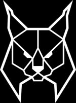 Golden Lynx Cars - Butikowa wypożyczalnia samochodów premium