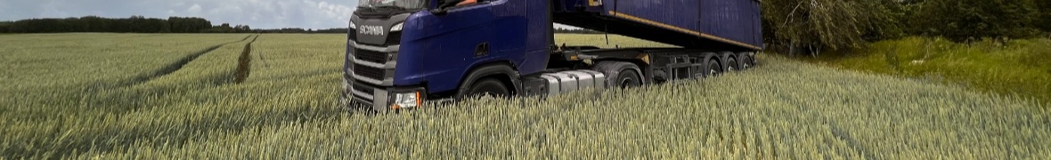 Logistyka