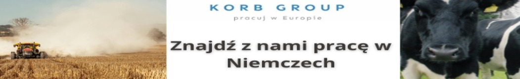 Biuro
