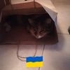 Sylwia
