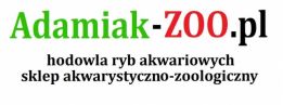 Adamiak-zoo Robert Adamiak