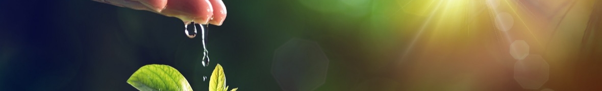 Poradis - Centrum Diagnoz i Terapii