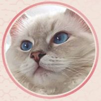 Z Dobrego Miejsca PL