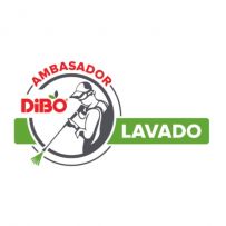 Lavado Expert