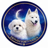 DENALI FORTUNATUS