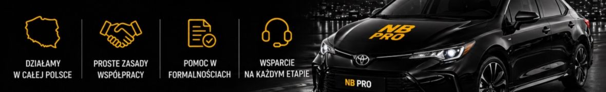 NB PRO