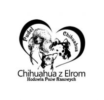 Chihuahua z Elrom