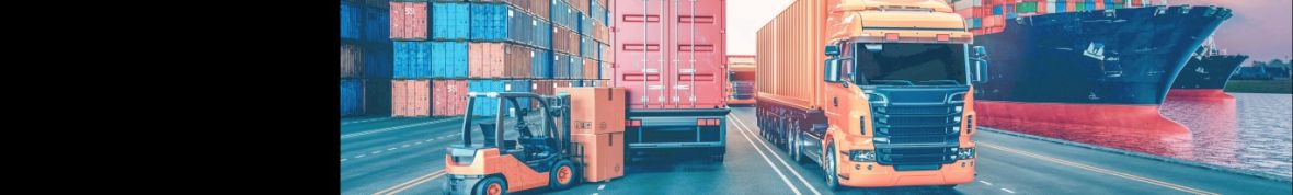 DCS Logistics Group