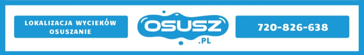 Osusz.pl Lokalizacja wycieków, osuszanie po zalaniu Poznań