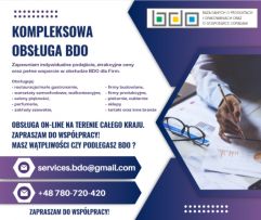 SAG CONSULTING &amp; SERVICES