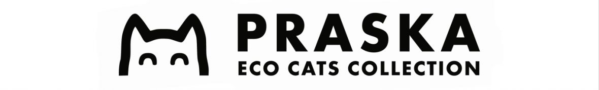 praskateam