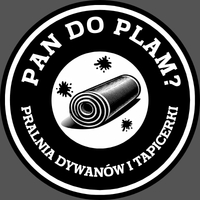 Pan do Plam Profesjonalne Pranie Tapicerki Autokosmetyka