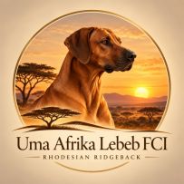 Uma Afrika Lebe FCI logo