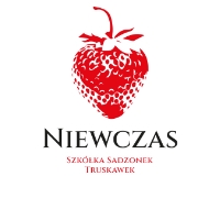 Niewczas Szkółka Sadzonek Truskawek logo