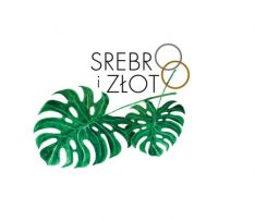 srebroizloto