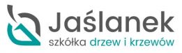 Martyna Jaślanek logo