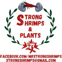 Strong Shrimps & Plants