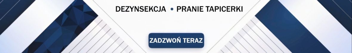 MMD CleanUp - Usługi DDD, Pranie tapicerki, Zwalczanie kretów Śląsk