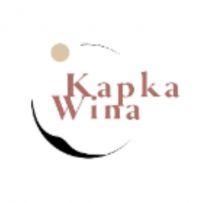 Petr Kasprak logo