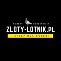 Robert logo