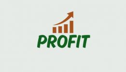 Usługi Księgowe PROFIT Dawid Podlaski