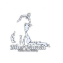 Blue Mania PL Hodowla Maine Coon