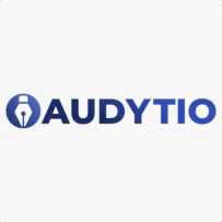 Audytio.pl