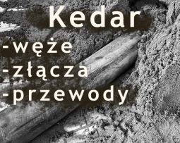 Kedar Radosław Świderski