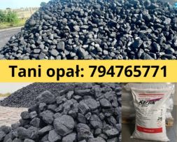 NIKO-AUTO-TRANS SPÓŁKA Z OGRANICZONĄ ODPOWIEDZIALNOŚCIĄ