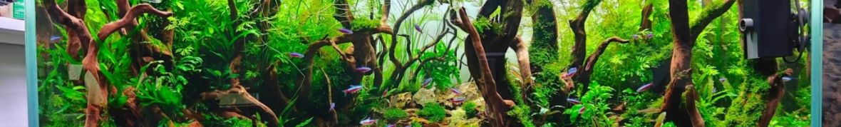 aqua.world.kmb