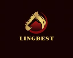 LINGBEST Paweł Lingo