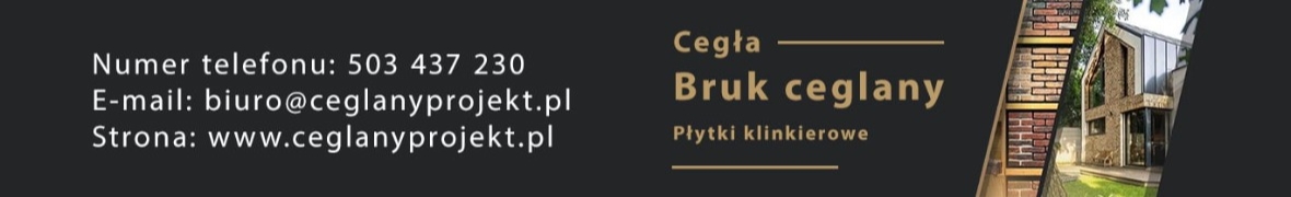 Ceglany Projekt Investment