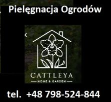 Cattleya Home Garden - Wycinka Koszenie Pielęgnacja Ogrodów