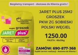 PTW POLSKI TANI WĘGIEL