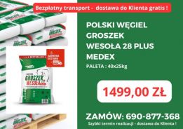 PTW POLSKI TANI WĘGIEL